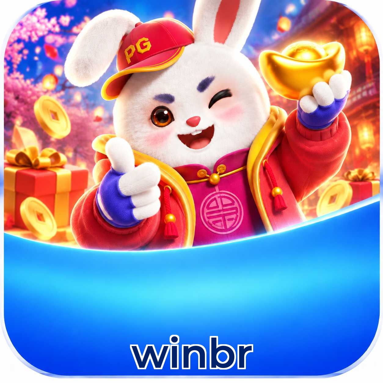 winbr Installation Guide